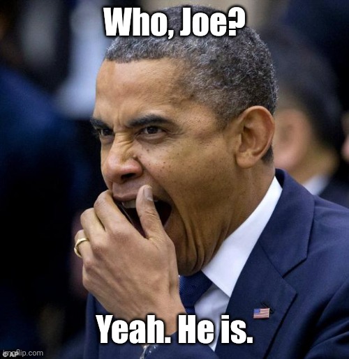 Hussein is getting bored... | Who, Joe? Yeah. He is. | image tagged in hussein is getting bored | made w/ Imgflip meme maker