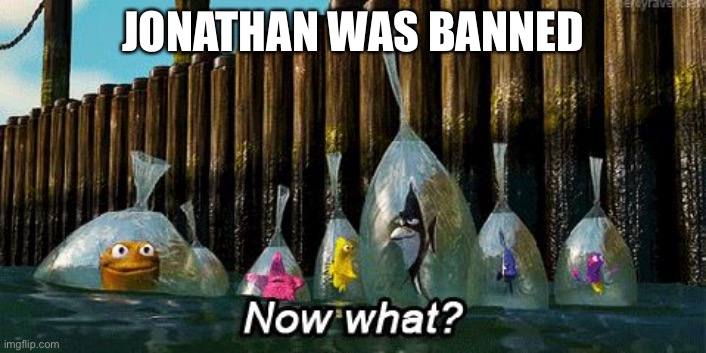Ban Cinny? | JONATHAN WAS BANNED | image tagged in now what | made w/ Imgflip meme maker