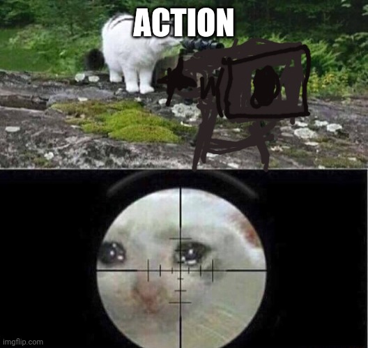 Sniper cat | ACTION | image tagged in sniper cat | made w/ Imgflip meme maker