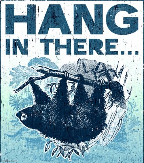 Sloth hang in there | image tagged in sloth hang in there | made w/ Imgflip meme maker