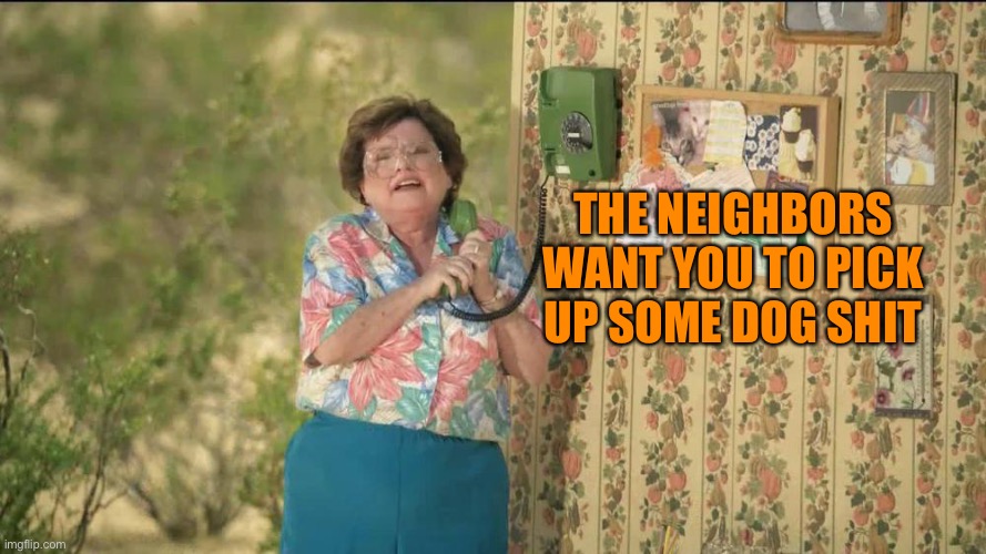 6 Callers Ahead of Us, Jimmy State Farm Grandma | THE NEIGHBORS WANT YOU TO PICK UP SOME DOG SHIT | image tagged in 6 callers ahead of us jimmy state farm grandma | made w/ Imgflip meme maker