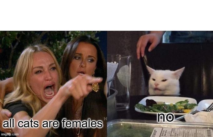 Woman Yelling At Cat | no; all cats are females | image tagged in memes,woman yelling at cat | made w/ Imgflip meme maker