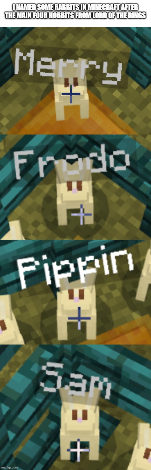 :> | I NAMED SOME RABBITS IN MINECRAFT AFTER THE MAIN FOUR HOBBITS FROM LORD OF THE RINGS | image tagged in rabbits,lord of the rings,frodo,merry and pippin,sam | made w/ Imgflip meme maker