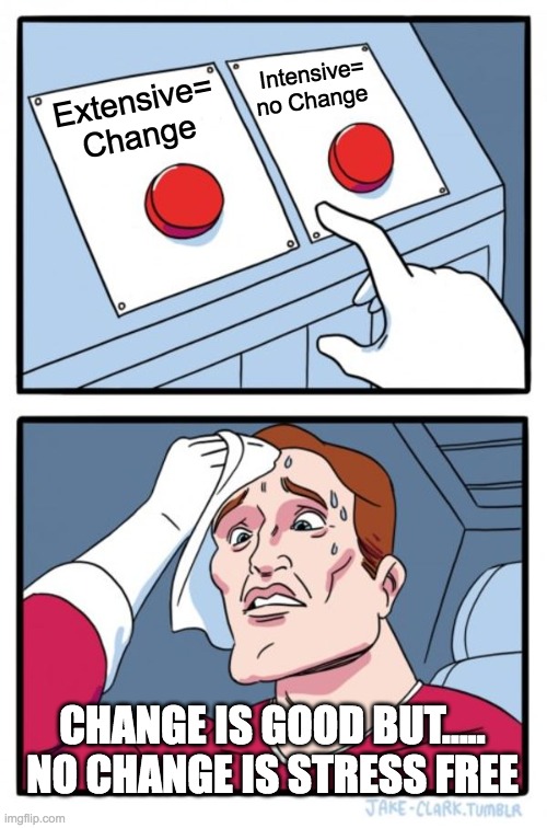 Extensive and intensive property | Intensive= no Change; Extensive= Change; CHANGE IS GOOD BUT..... NO CHANGE IS STRESS FREE | image tagged in memes,two buttons | made w/ Imgflip meme maker