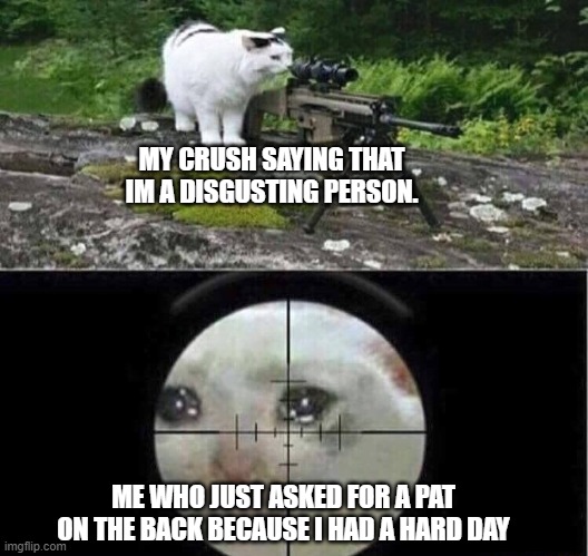 fr tho | MY CRUSH SAYING THAT IM A DISGUSTING PERSON. ME WHO JUST ASKED FOR A PAT ON THE BACK BECAUSE I HAD A HARD DAY | image tagged in sniper cat,sad,why,stupid,bad day,sniper | made w/ Imgflip meme maker