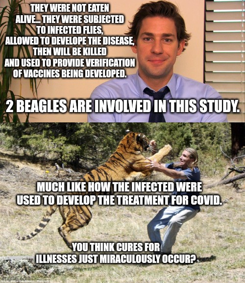 THEY WERE NOT EATEN ALIVE... THEY WERE SUBJECTED TO INFECTED FLIES, ALLOWED TO DEVELOPE THE DISEASE, THEN WILL BE KILLED AND USED TO PROVIDE | image tagged in jim halpert,peta tiger | made w/ Imgflip meme maker