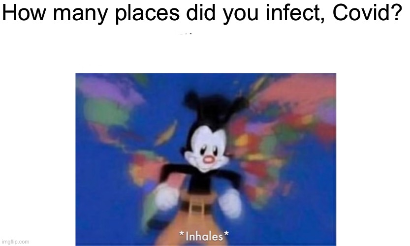 Big | How many places did you infect, Covid? | image tagged in world occupied | made w/ Imgflip meme maker