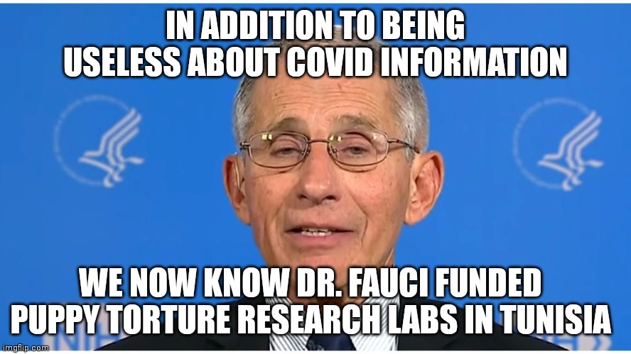 I propose a new word for political hack scumbags. We'll call them Fauci instead. | IN ADDITION TO BEING USELESS ABOUT COVID INFORMATION; WE NOW KNOW DR. FAUCI FUNDED PUPPY TORTURE RESEARCH LABS IN TUNISIA | image tagged in dr fauci,insanity puppy,daily abuse | made w/ Imgflip meme maker