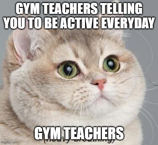 Heavy Breathing Cat | GYM TEACHERS TELLING YOU TO BE ACTIVE EVERYDAY; GYM TEACHERS | image tagged in memes,heavy breathing cat | made w/ Imgflip meme maker