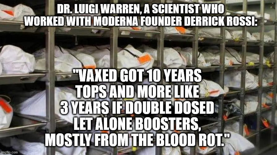 Vaxxed life expectancy 3-10 years. | "VAXED GOT 10 YEARS TOPS AND MORE LIKE 3 YEARS IF DOUBLE DOSED LET ALONE BOOSTERS, MOSTLY FROM THE BLOOD ROT."; DR. LUIGI WARREN, A SCIENTIST WHO WORKED WITH MODERNA FOUNDER DERRICK ROSSI: | image tagged in vaccine,vaccines,covid,biden | made w/ Imgflip meme maker