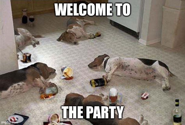 Drunk dogs after party | WELCOME TO THE PARTY | image tagged in drunk dogs after party | made w/ Imgflip meme maker