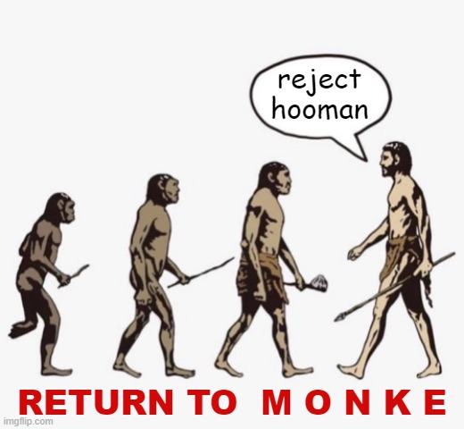 go bak | reject hooman; RETURN TO  M O N K E | image tagged in evolution template,reject,hooman,return,to,monke | made w/ Imgflip meme maker