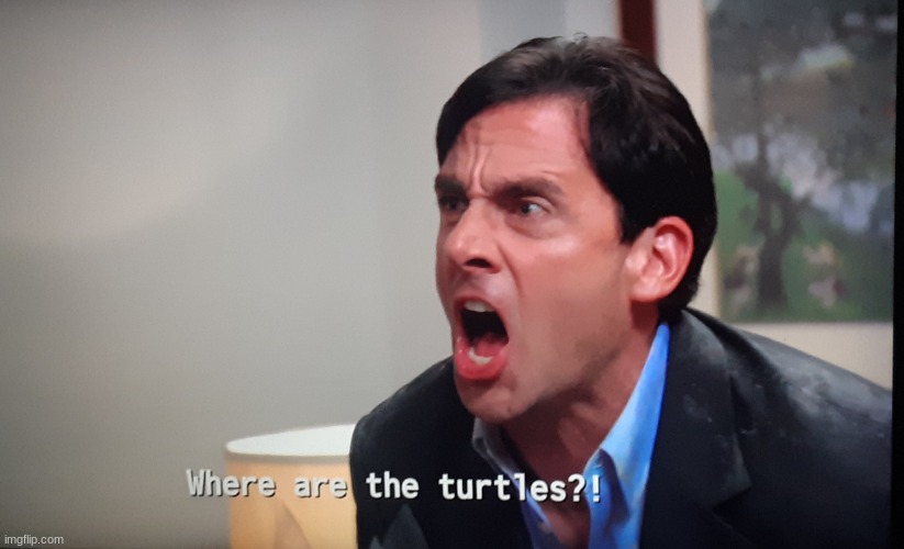 Where are the turtles? | image tagged in where are the turtles | made w/ Imgflip meme maker