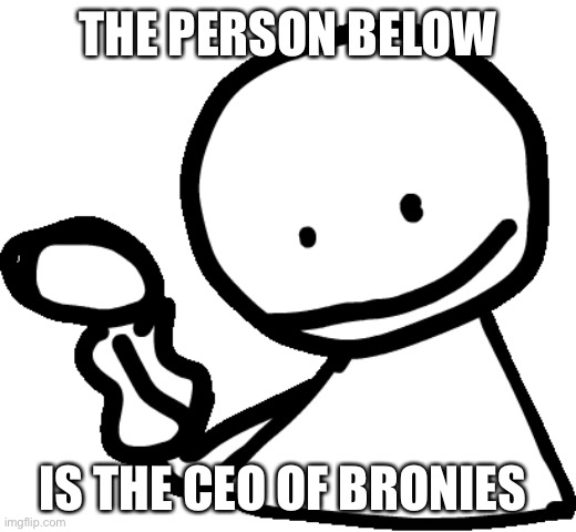 Bob | THE PERSON BELOW; IS THE CEO OF BRONIES | image tagged in bob | made w/ Imgflip meme maker