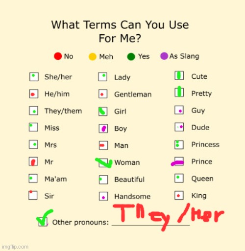 MY PRONOUNS | image tagged in pronouns sheet | made w/ Imgflip meme maker