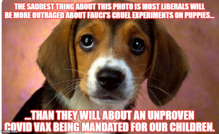 Outrage | THE SADDEST THING ABOUT THIS PHOTO IS MOST LIBERALS WILL BE MORE OUTRAGED ABOUT FAUCI'S CRUEL EXPERIMENTS ON PUPPIES... ...THAN THEY WILL ABOUT AN UNPROVEN COVID VAX BEING MANDATED FOR OUR CHILDREN. | image tagged in joe biden,democrats,progressives,fauci | made w/ Imgflip meme maker
