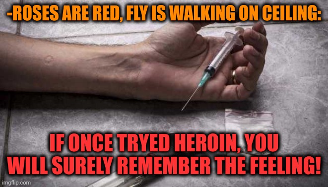 -Dophamine's rush. | -ROSES ARE RED, FLY IS WALKING ON CEILING:; IF ONCE TRYED HEROIN, YOU WILL SURELY REMEMBER THE FEELING! | image tagged in heroin,don't do drugs,me trying to remember,feeling cute,theneedledrop,overdose | made w/ Imgflip meme maker