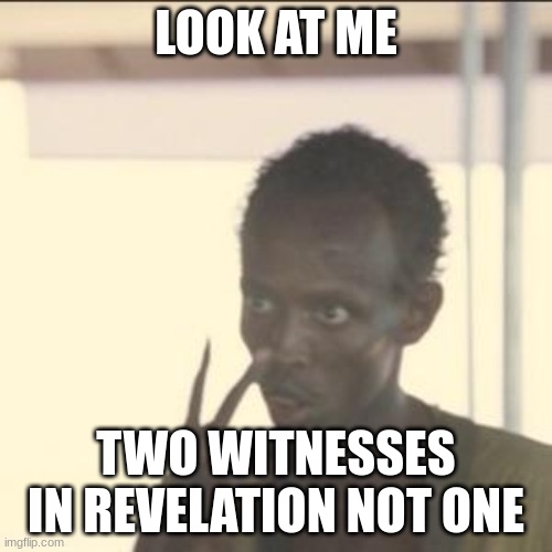 There Is Two | LOOK AT ME; TWO WITNESSES IN REVELATION NOT ONE | image tagged in look at me,witnesses,religious,i'm the captain now,jesus christ,revelation | made w/ Imgflip meme maker
