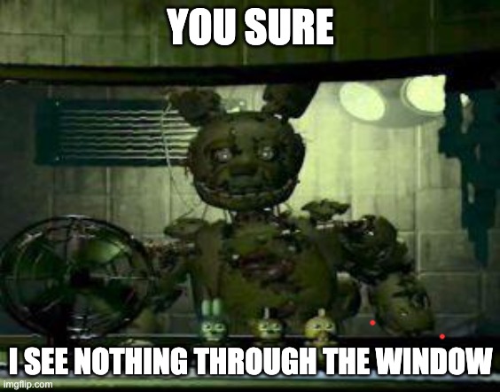 FNAF Springtrap in window | YOU SURE I SEE NOTHING THROUGH THE WINDOW | image tagged in fnaf springtrap in window | made w/ Imgflip meme maker