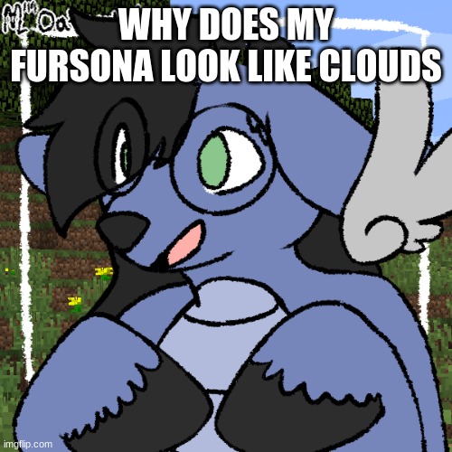 aeugh- | WHY DOES MY FURSONA LOOK LIKE CLOUDS | image tagged in fursona thing | made w/ Imgflip meme maker