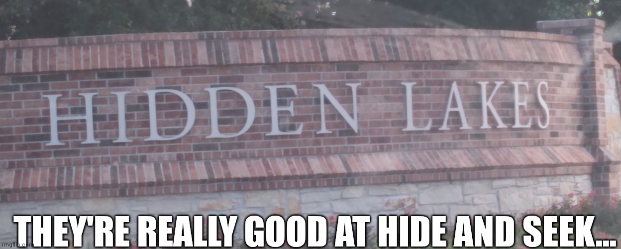 You can't see them from here | THEY'RE REALLY GOOD AT HIDE AND SEEK... | image tagged in funny,lakes,hide and seek | made w/ Imgflip meme maker