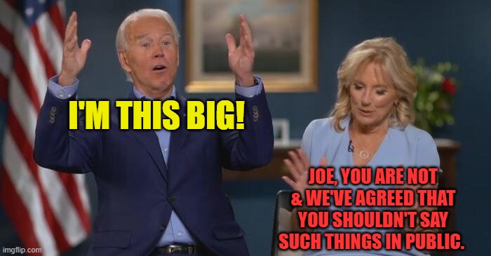 Joe and Jill | I'M THIS BIG! JOE, YOU ARE NOT & WE'VE AGREED THAT YOU SHOULDN'T SAY SUCH THINGS IN PUBLIC. | image tagged in joe and jill | made w/ Imgflip meme maker