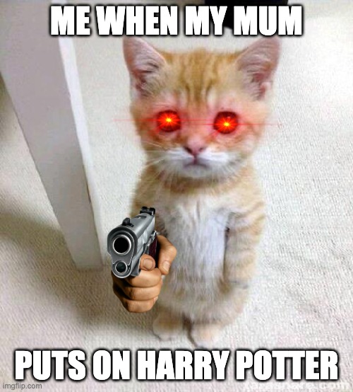 i dont like harry potter. join my religion where we dont like harry potter. and sorry if you do i mean no harm to you | ME WHEN MY MUM; PUTS ON HARRY POTTER | image tagged in memes,cute cat | made w/ Imgflip meme maker