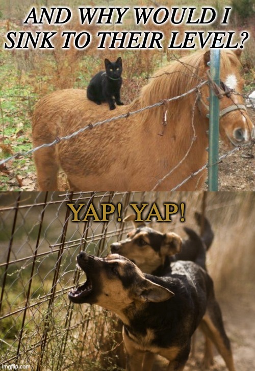 AND WHY WOULD I SINK TO THEIR LEVEL? YAP! YAP! | image tagged in black cat on horse barbed wire fence | made w/ Imgflip meme maker