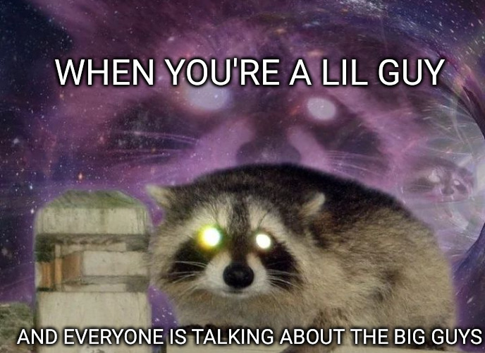 remember there are guys like me running that don't get talked about | WHEN YOU'RE A LIL GUY; AND EVERYONE IS TALKING ABOUT THE BIG GUYS | image tagged in racoon | made w/ Imgflip meme maker