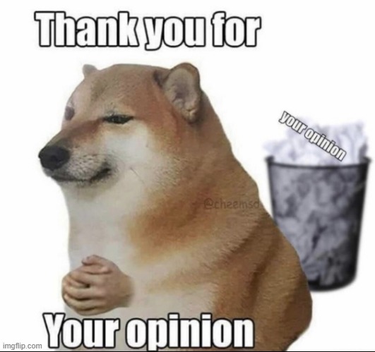 Thank you for your opinion | image tagged in thank you for your opinion | made w/ Imgflip meme maker