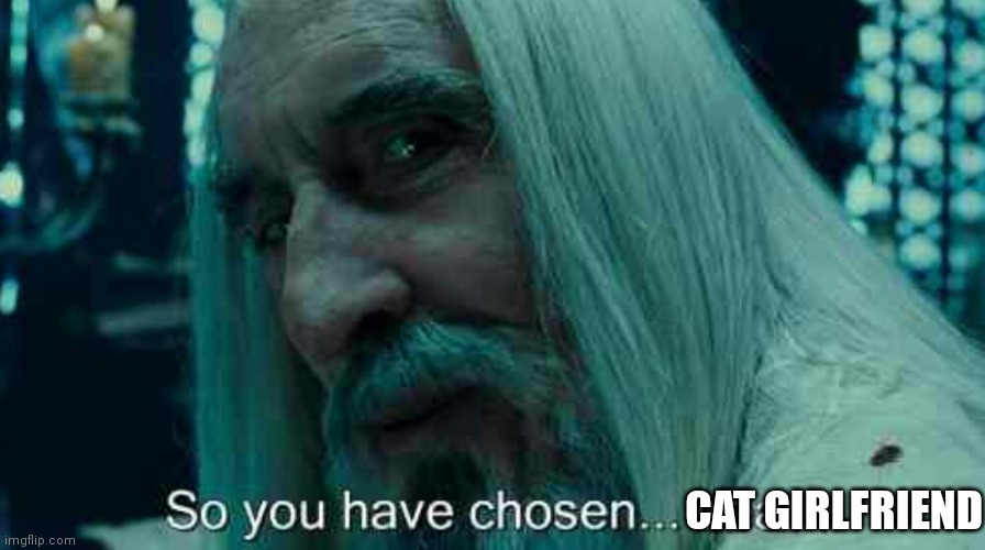 So you have chosen death | CAT GIRLFRIEND | image tagged in so you have chosen death | made w/ Imgflip meme maker