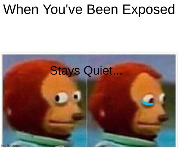 You've Been Exposed | When You've Been Exposed; Stays Quiet... | image tagged in memes,monkey puppet,exposed | made w/ Imgflip meme maker