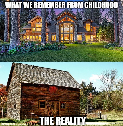 Memory vs Reality | WHAT WE REMEMBER FROM CHILDHOOD; THE REALITY | image tagged in illusions,disappointment,memories | made w/ Imgflip meme maker