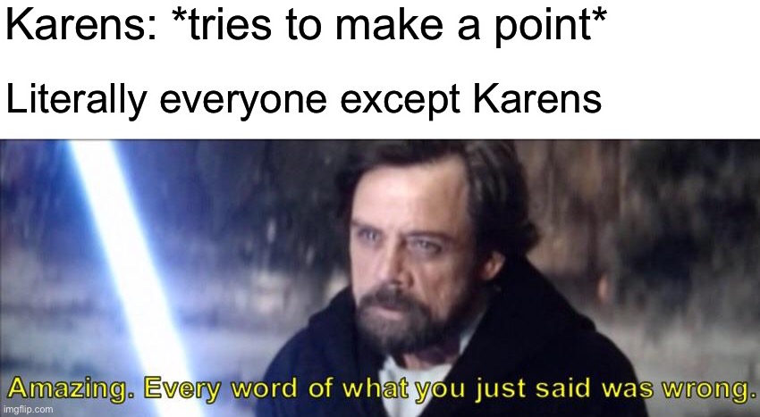 Karens have no points | Karens: *tries to make a point*; Literally everyone except Karens | image tagged in every word of what you just said was wrong | made w/ Imgflip meme maker