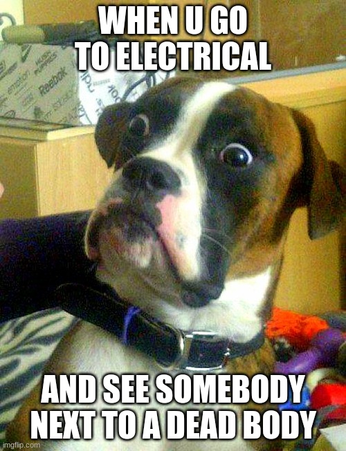oohhh nooo | WHEN U GO TO ELECTRICAL; AND SEE SOMEBODY NEXT TO A DEAD BODY | image tagged in waaaah dog,among us,dogs | made w/ Imgflip meme maker