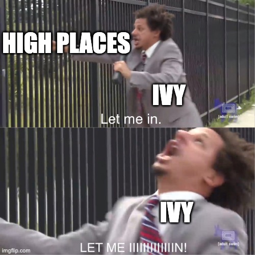 Ivy has trouble reaching high places because she's so small | HIGH PLACES; IVY; IVY | image tagged in let me in | made w/ Imgflip meme maker