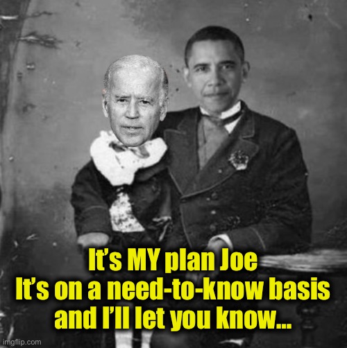 Joe puppet | It’s MY plan Joe
It’s on a need-to-know basis
and I’ll let you know… | image tagged in joe puppet | made w/ Imgflip meme maker