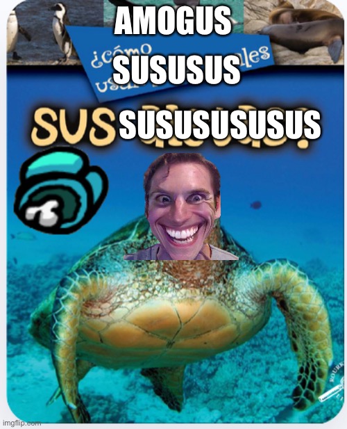 Amogsus | AMOGUS; SUSUSUS; SUSUSUSUSUS | image tagged in sus | made w/ Imgflip meme maker