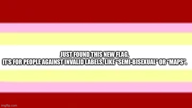 JUST FOUND THIS NEW FLAG. 
IT’S FOR PEOPLE AGAINST INVALID LABELS, LIKE “SEMI-BISEXUAL” OR “MAPS”. | made w/ Imgflip meme maker
