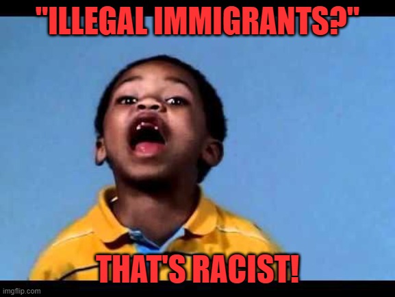 That's racist 2 | "ILLEGAL IMMIGRANTS?" THAT'S RACIST! | image tagged in that's racist 2 | made w/ Imgflip meme maker