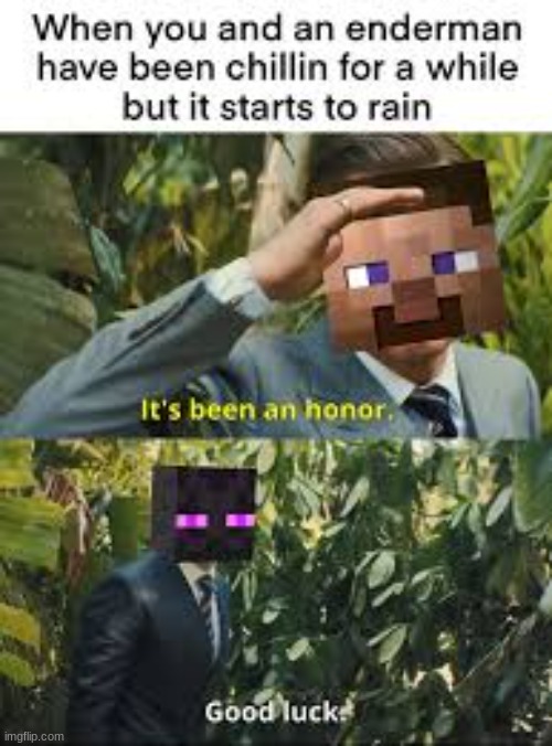 its sad to see em go | image tagged in minecraft | made w/ Imgflip meme maker