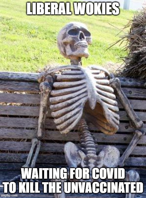 Waiting Skeleton Meme | LIBERAL WOKIES; WAITING FOR COVID TO KILL THE UNVACCINATED | image tagged in memes,waiting skeleton | made w/ Imgflip meme maker