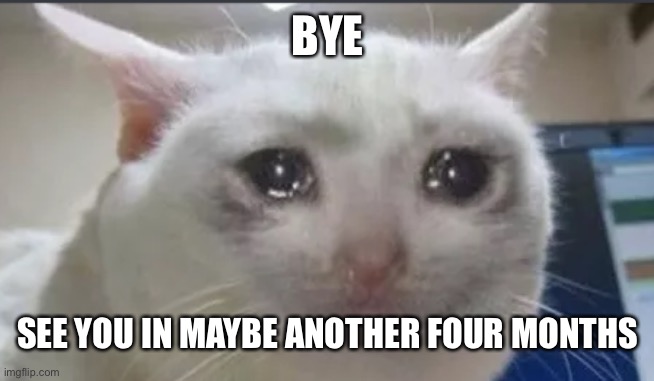 GOODBYE EVERYONE | BYE; SEE YOU IN MAYBE ANOTHER FOUR MONTHS | image tagged in goodbye everyone | made w/ Imgflip meme maker