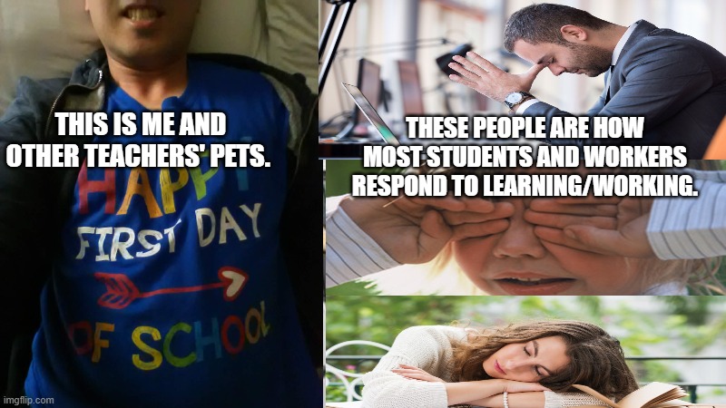 How Covid-19 Has Impacted Us All Occupationally and Academically | THIS IS ME AND OTHER TEACHERS' PETS. THESE PEOPLE ARE HOW MOST STUDENTS AND WORKERS RESPOND TO LEARNING/WORKING. | image tagged in covid-19,online school,working | made w/ Imgflip meme maker