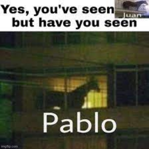 Pablo. (Pls approve). | image tagged in horses,memes,dank memes,funny | made w/ Imgflip meme maker