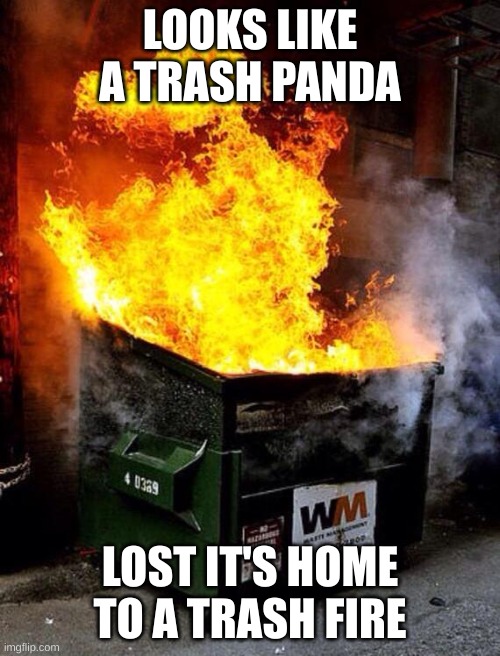 someone lost there home | LOOKS LIKE A TRASH PANDA; LOST IT'S HOME TO A TRASH FIRE | image tagged in dumpster fire | made w/ Imgflip meme maker