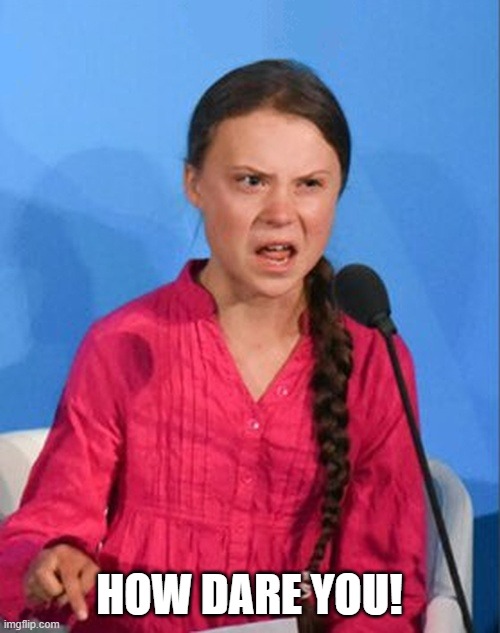 Greta Thunberg how dare you | HOW DARE YOU! | image tagged in greta thunberg how dare you | made w/ Imgflip meme maker