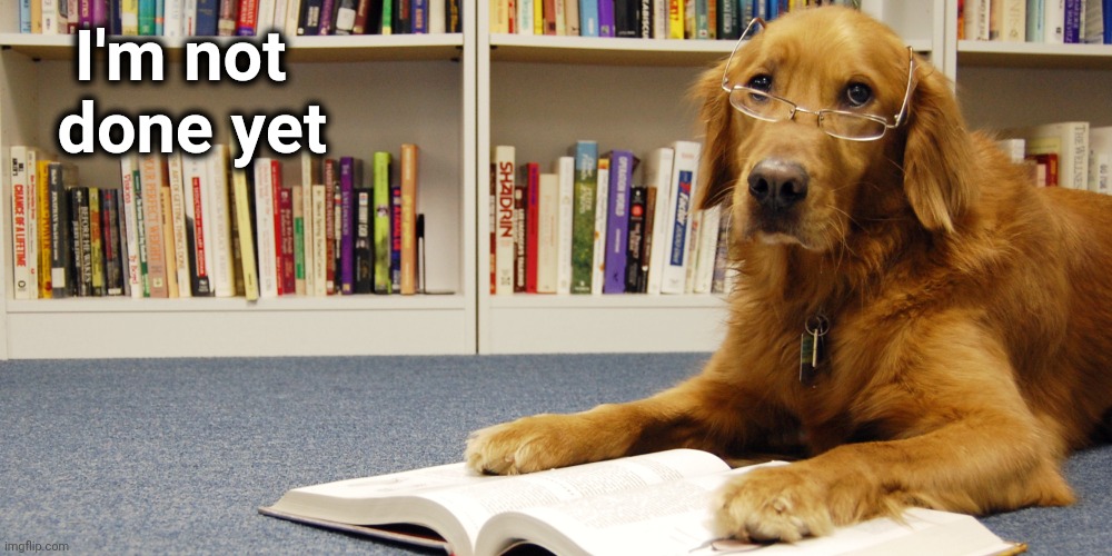 dog reading | I'm not
  done yet | image tagged in dog reading | made w/ Imgflip meme maker