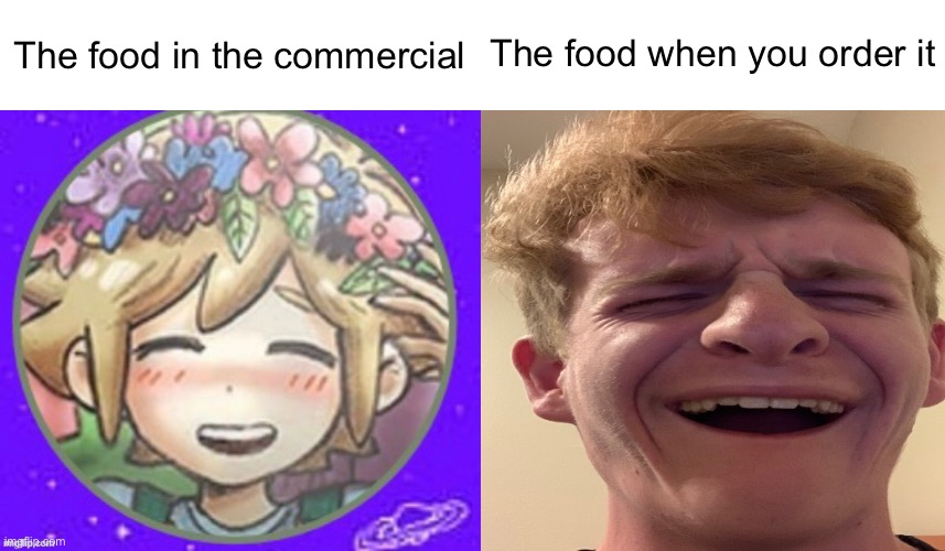 The food when you order it; The food in the commercial | made w/ Imgflip meme maker