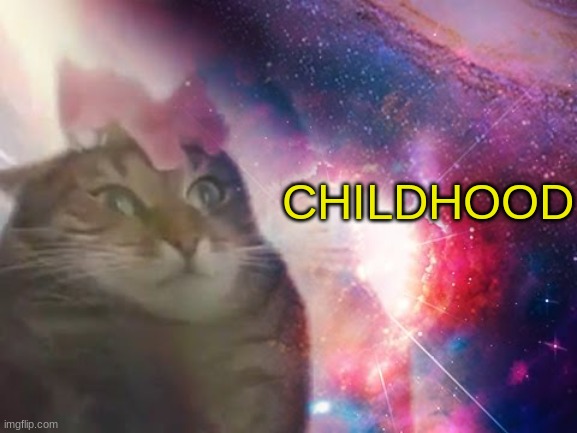 the prophecy is true cat | CHILDHOOD | image tagged in the prophecy is true cat | made w/ Imgflip meme maker
